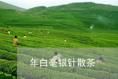 年白毫银针散茶/2023112316151