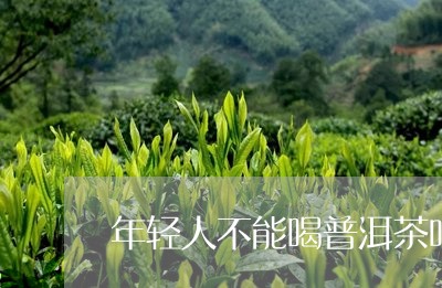 年轻人不能喝普洱茶吗/2023061852715