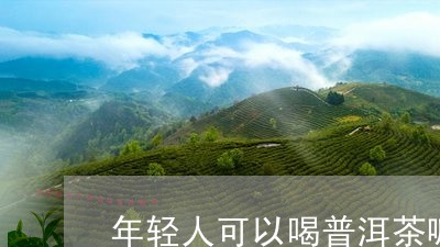 年轻人可以喝普洱茶嘛/2023121690717