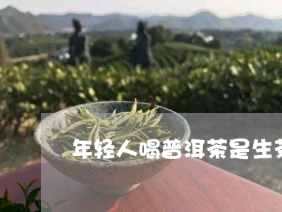 年轻人喝普洱茶是生茶好还是熟茶好/2023060332584