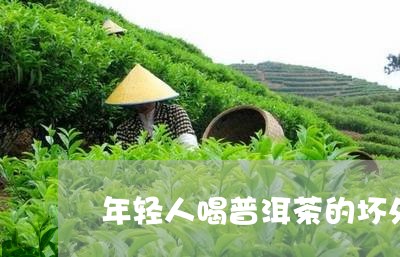 年轻人喝普洱茶的坏处/2023061549481