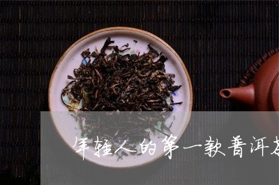 年轻人的第一款普洱茶/2023092546159