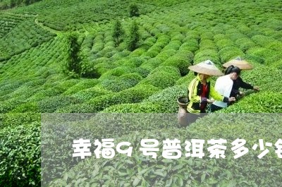 幸福9号普洱茶多少钱/2023062018460