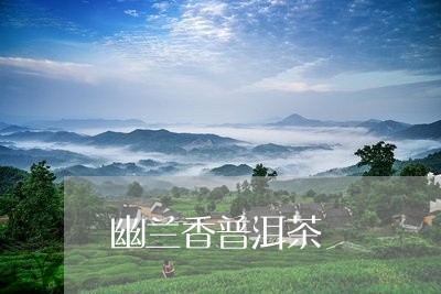 幽兰香普洱茶/2023042644976