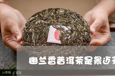 幽兰香普洱茶是景迈茶/2023062321715