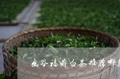 幽谷福鼎白茶推荐哪款/2023120714058