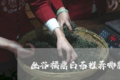 幽谷福鼎白茶推荐哪款好/2023111631626