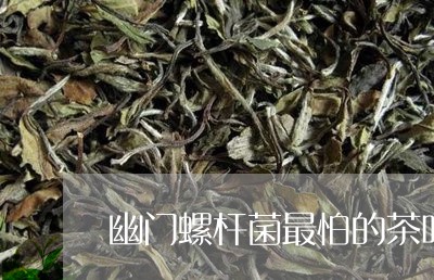 幽门螺杆菌最怕的茶叶/2023061105947