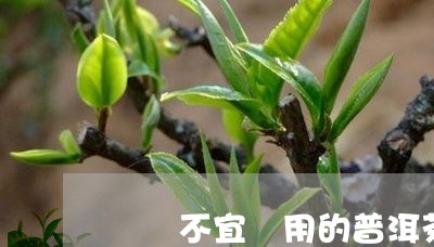 幾種不宜飲用的普洱茶/2023092784815