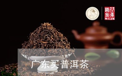 广东买普洱茶/2023042876009