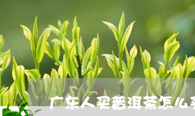 广东人买普洱茶怎么买便宜/2023110596270