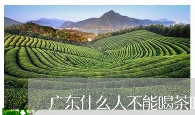 广东什么人不能喝茶叶普洱茶/2023121640682