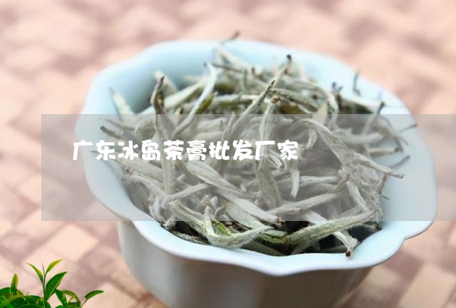 广东冰岛茶膏批发厂家/2023092324715