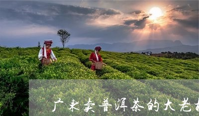 广东卖普洱茶的大老板/2023061547361