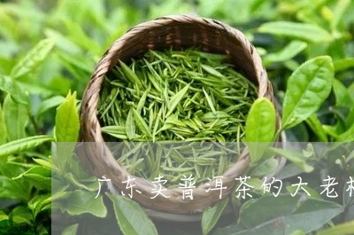 广东卖普洱茶的大老板/2023092620472