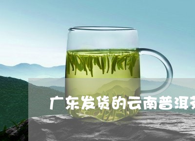 广东发货的云南普洱茶/2023100887261