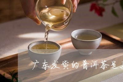 广东发货的普洱茶是真的吗/2023112460493