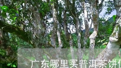 广东哪里买普洱茶饼便宜/2023050741382