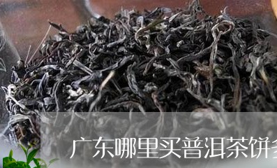 广东哪里买普洱茶饼多些/2023112871803