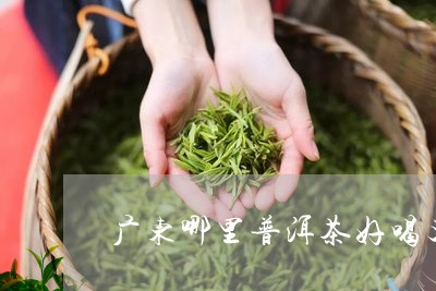 广东哪里普洱茶好喝又正宗/2023112402737