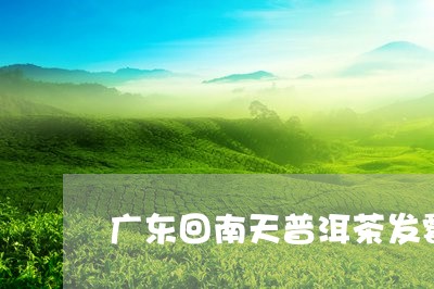 广东回南天普洱茶发霉/2023062460804