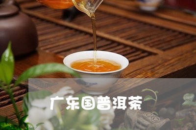 广东国普洱茶/2023042674880