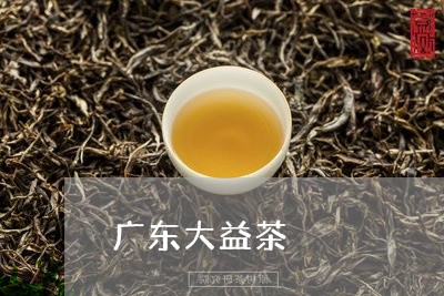 广东大益茶/2023041708936