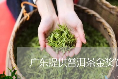 广东提供普洱茶金奖饼/2023062507171