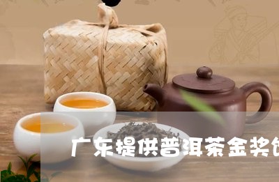 广东提供普洱茶金奖饼/2023080148581