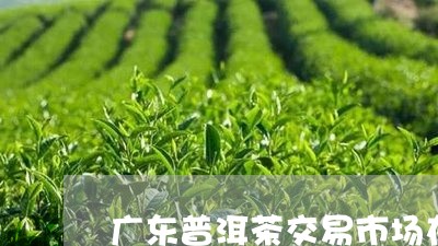 广东普洱茶交易市场在哪里有/2023052843047