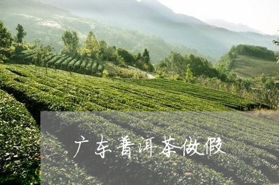 广东普洱茶做假/2023081841614