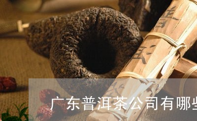 广东普洱茶公司有哪些公司/2023101026948