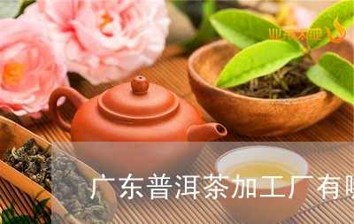 广东普洱茶加工厂有哪些品牌/2023112684828