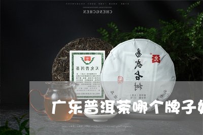 广东普洱茶哪个牌子好/2023062849536