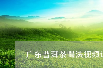 广东普洱茶喝法视频讲解/2023050759582