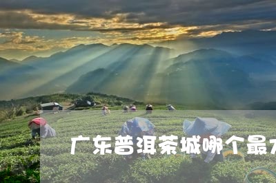 广东普洱茶城哪个最大/2023100653846