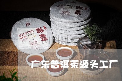 广东普洱茶源头工厂/2023091391726