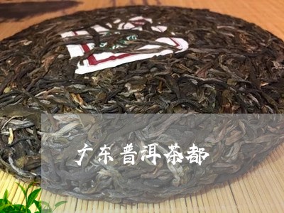 广东普洱茶都/2023042838202