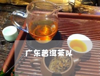 广东普洱茶队/2023042798480