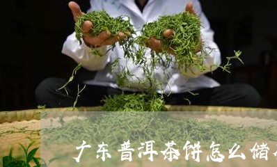 广东普洱茶饼怎么储存/2023100514269