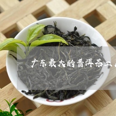 广东最大的普洱茶工厂/2023112416252