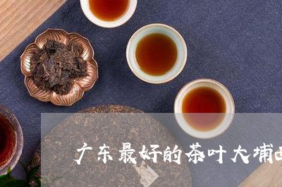 广东最好的茶叶大埔西岩野山茶价格/2023060437341