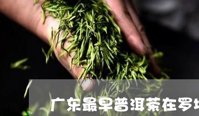 广东最早普洱茶在罗坑/2023063069283