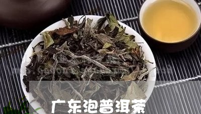 广东泡普洱茶/2023042787486