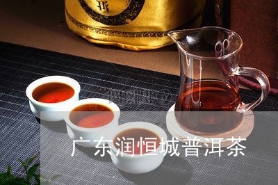 广东润恒城普洱茶/2023120460705