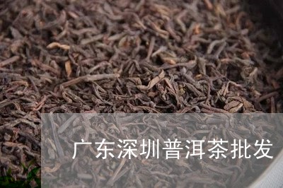 广东深圳普洱茶批发/2023121650494