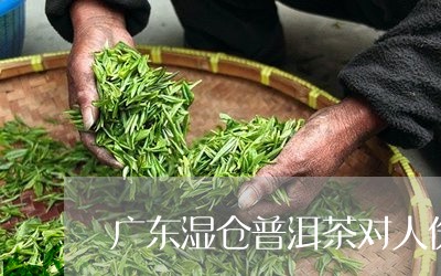 广东湿仓普洱茶对人伤害大吗/2023052981836