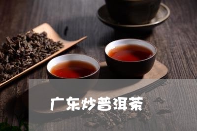 广东炒普洱茶/2023091320925