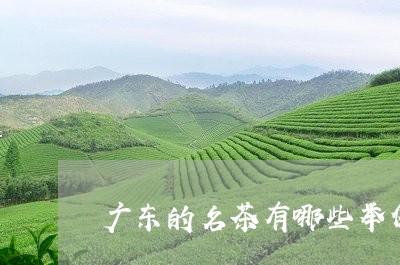 广东的名茶有哪些举例说明/2023051170705