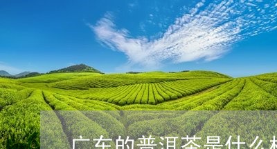 广东的普洱茶是什么样/2023061841715